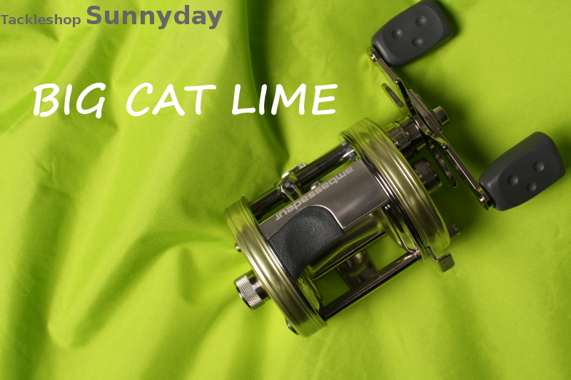 アブガルシア アンバサダー 6500 CS プロロケット BIG CAT LIME